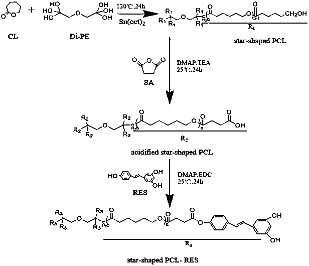 一種星型聚己內酯-白藜蘆醇聚合物的制備方法