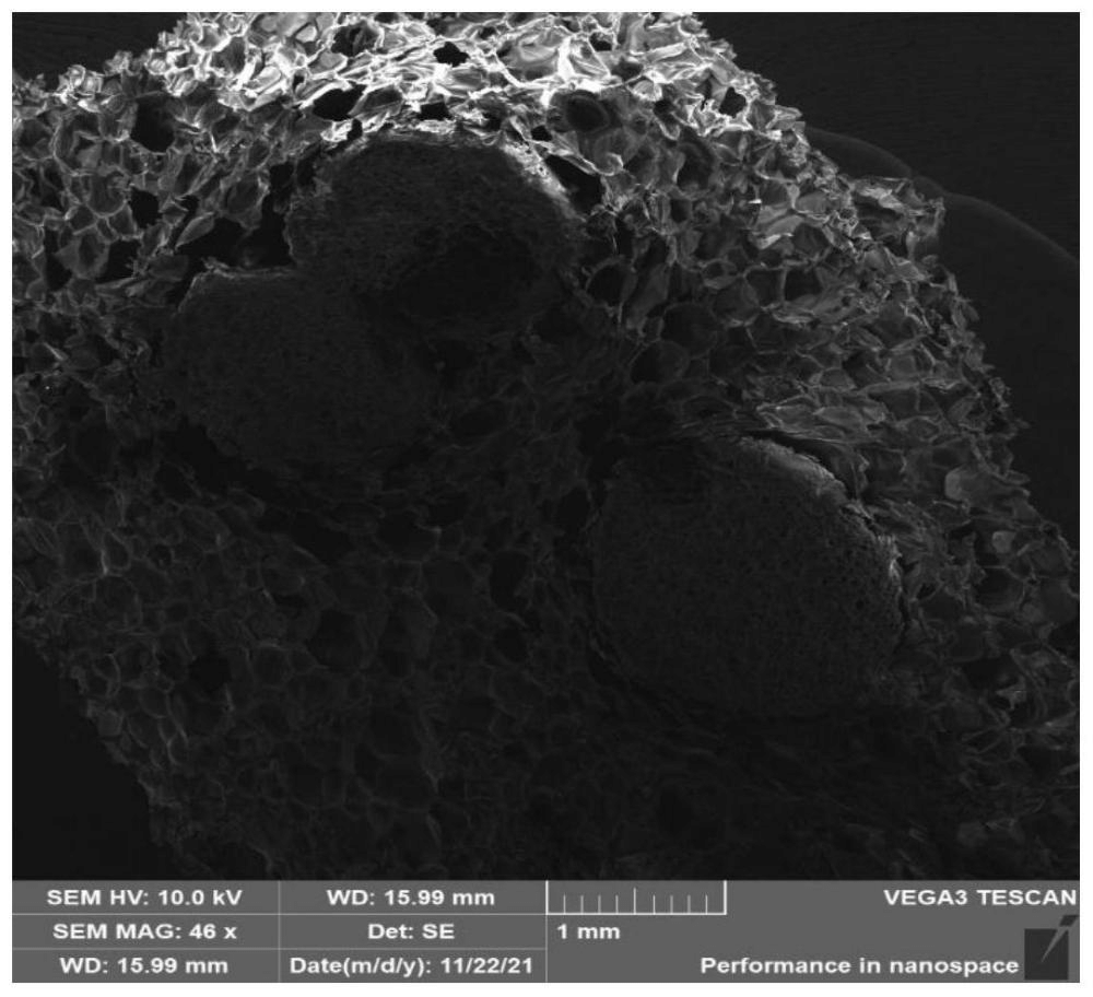 一種改性可發性聚苯乙烯顆粒、制備方法及其應用